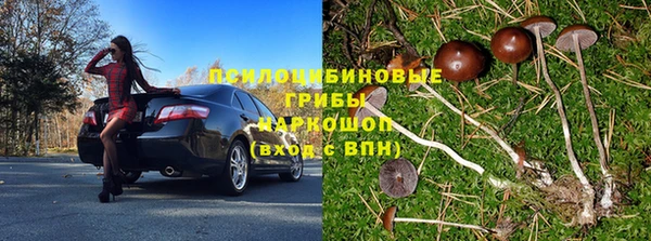 ПСИЛОЦИБИНОВЫЕ ГРИБЫ Богданович